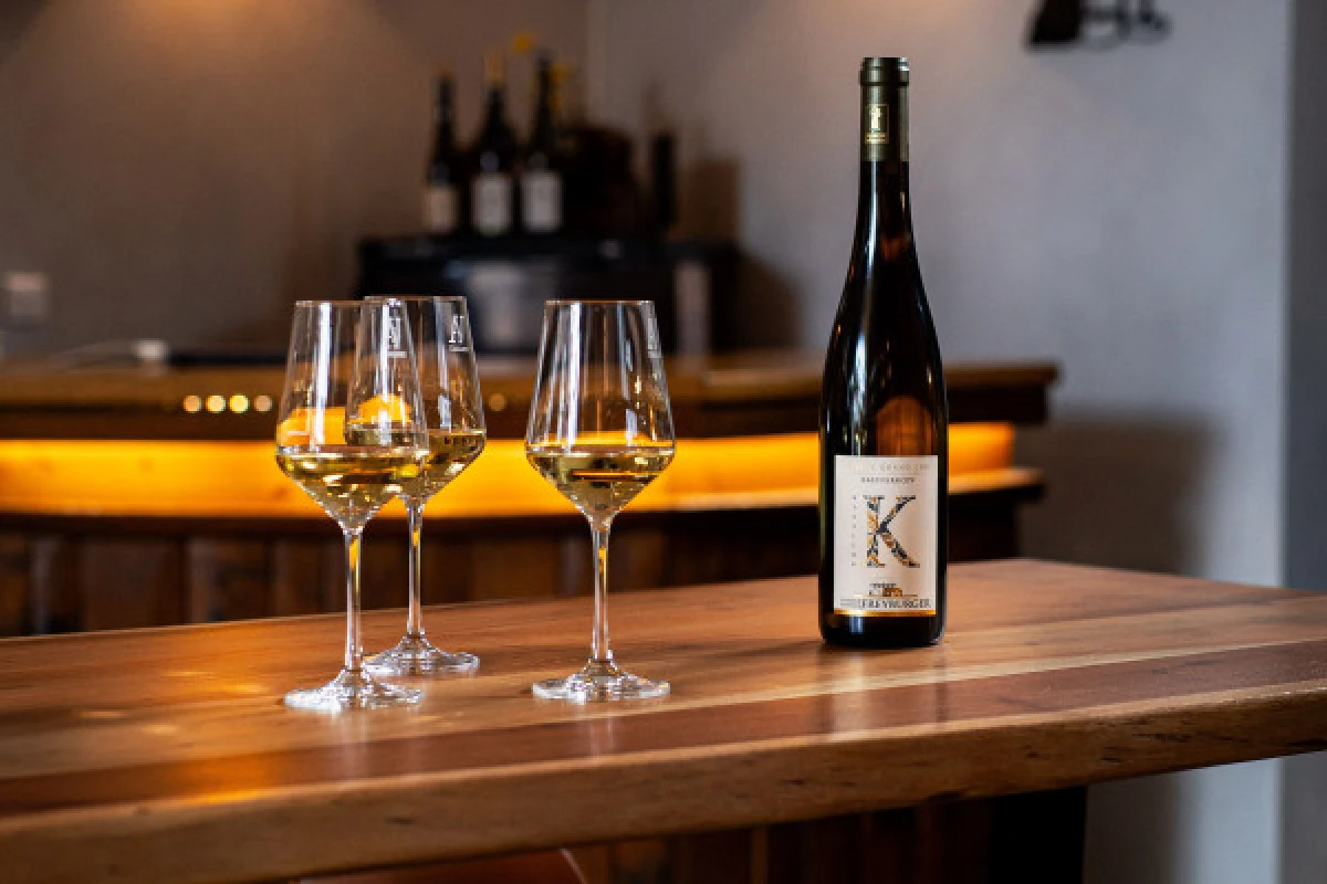 Meet our wines with an in-depth tasting. - Bonjour Fun