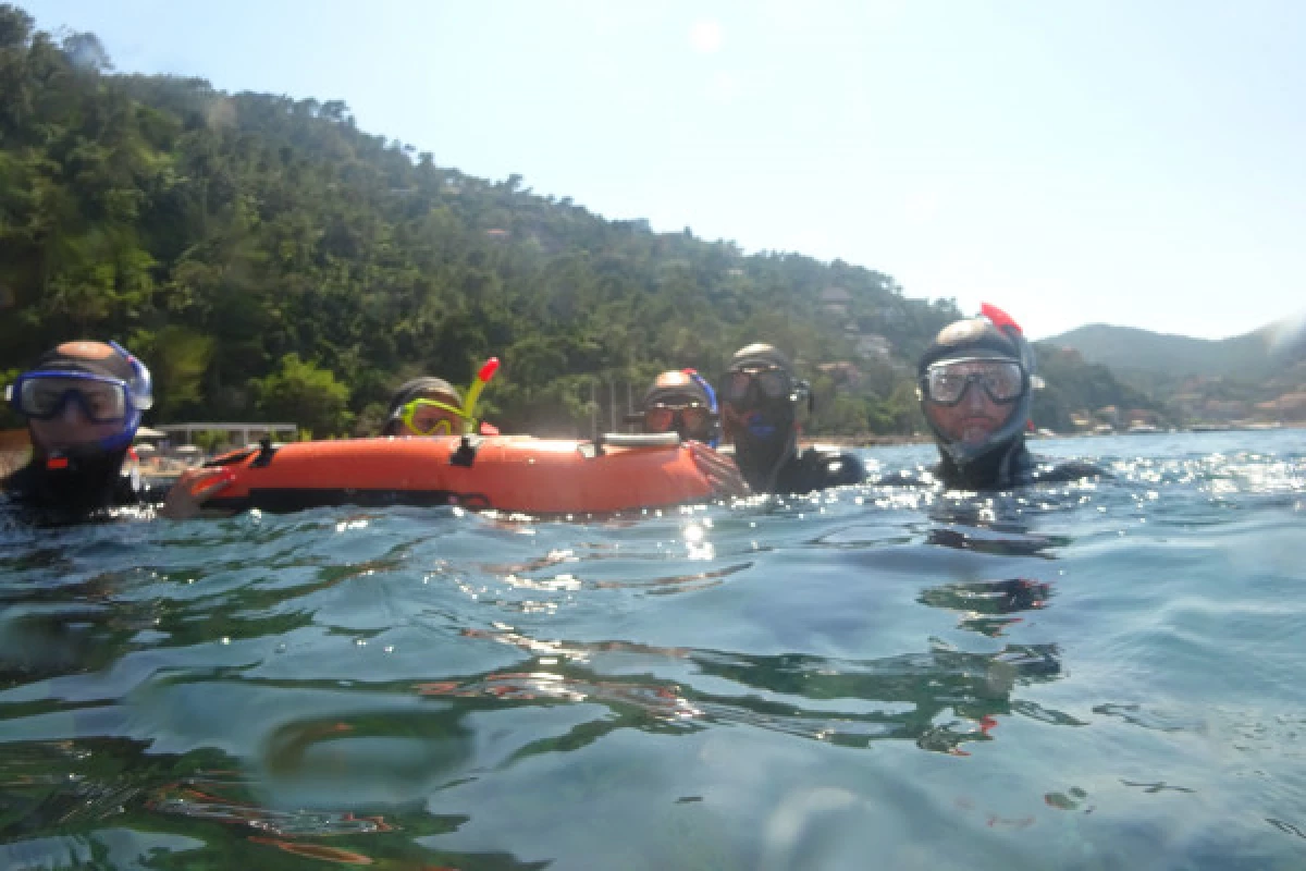 Snorkeling - Mandelieu-la-Napoule - Bonjour Fun