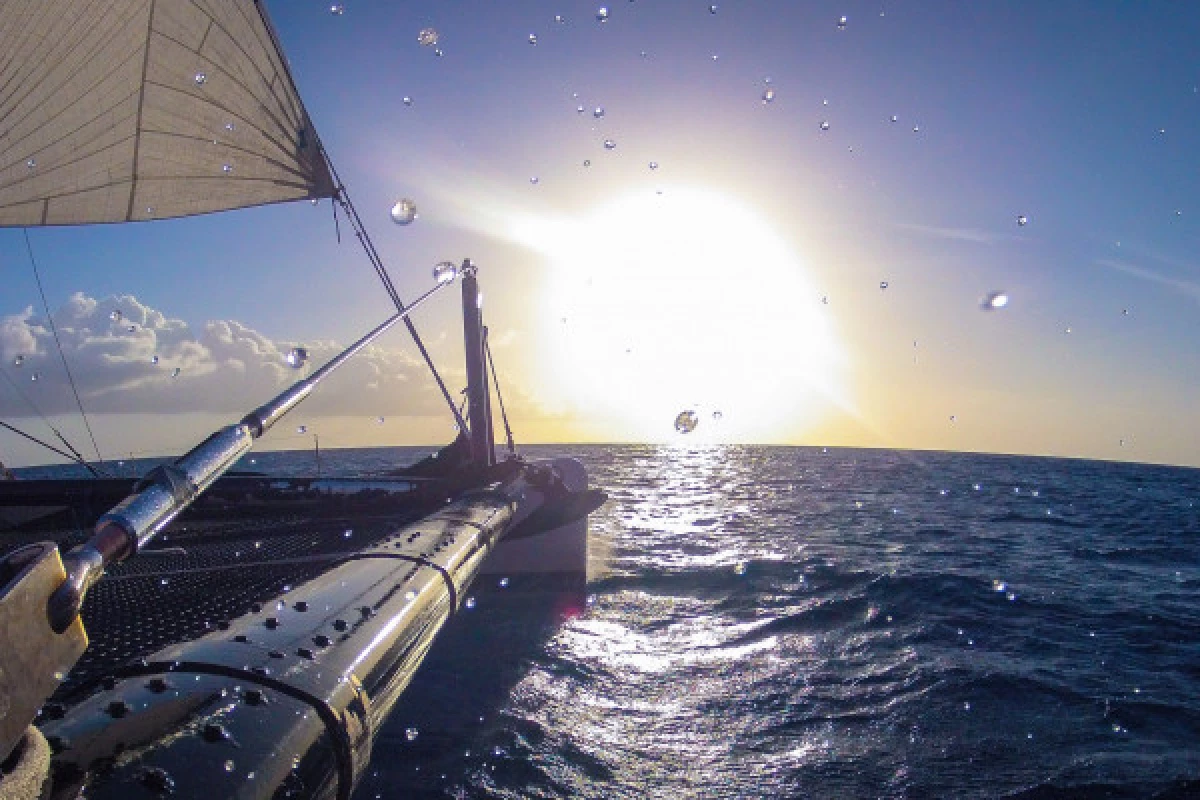 Catamaran sunset evening from Cavalaire - Bonjour Fun