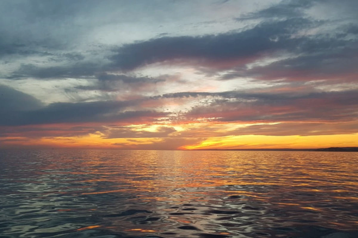 Evening sailing cruise in the Frioul's Island - Quay of Honor Town Hall - Bonjour Fun