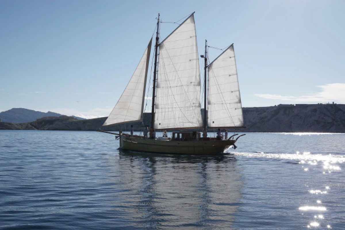 Evening sailing cruise in the Frioul's Island - Quay of Honor Town Hall - Bonjour Fun