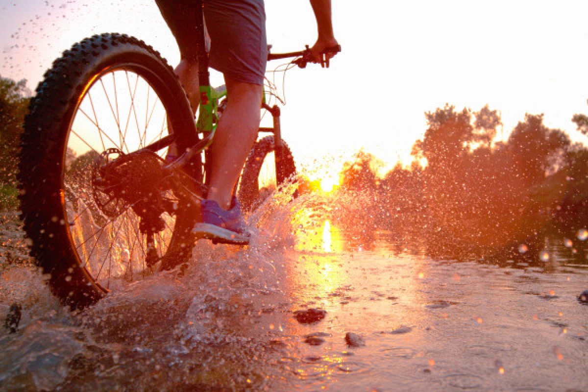 Mountain bike / e-bike tours - Bonjour Fun