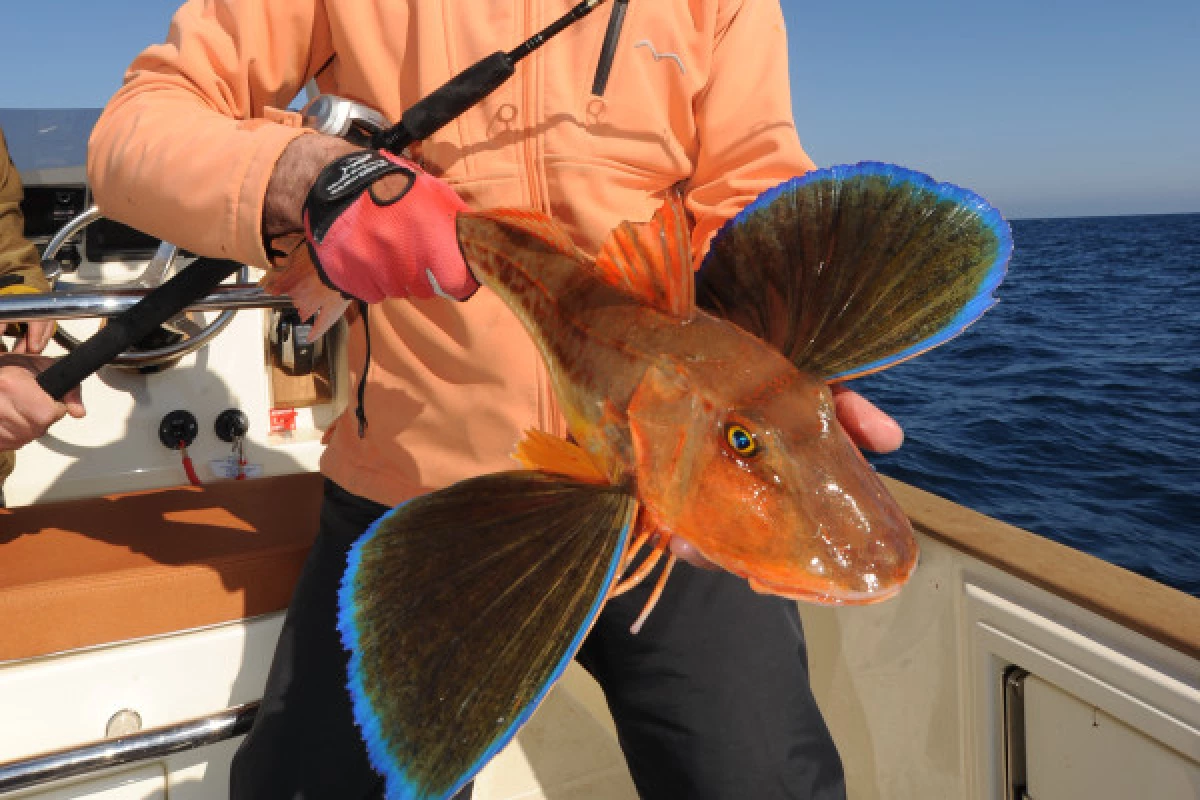 Coastal & familial fishing trip by boat - Bonjour Fun