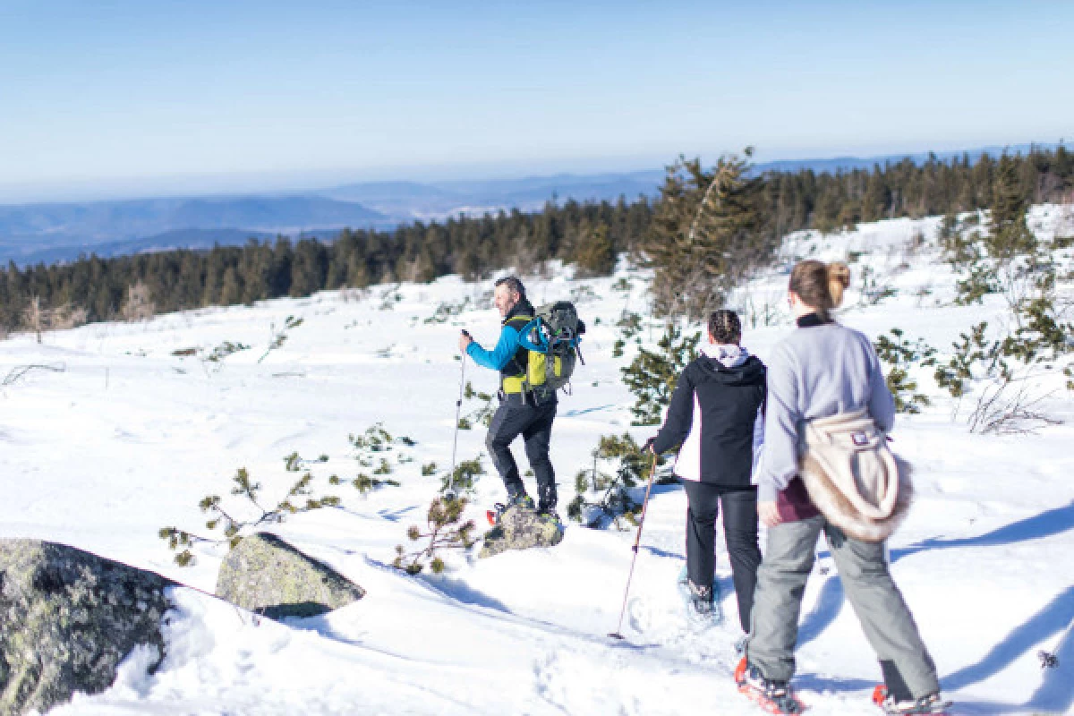 Family snowshoe outing - Bonjour Fun