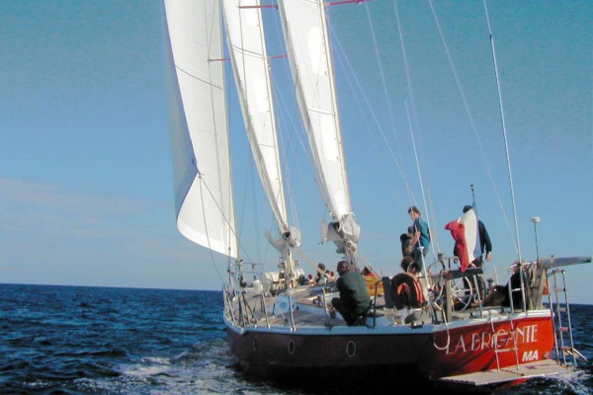 Half-day sailboat outing - La Brigante - Bonjour Fun