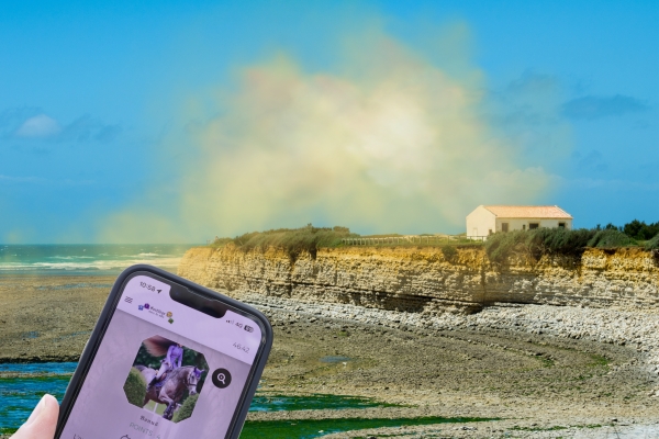 Sortilège in Île d'Oléron : Escape Game Outdoor magic theme - Bonjour Fun