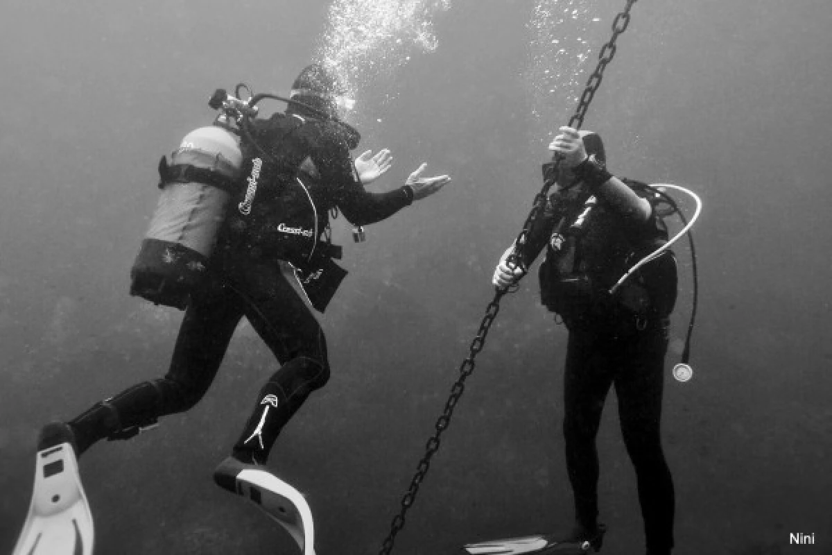 Supervised Diver Training 12m - Bonjour Fun