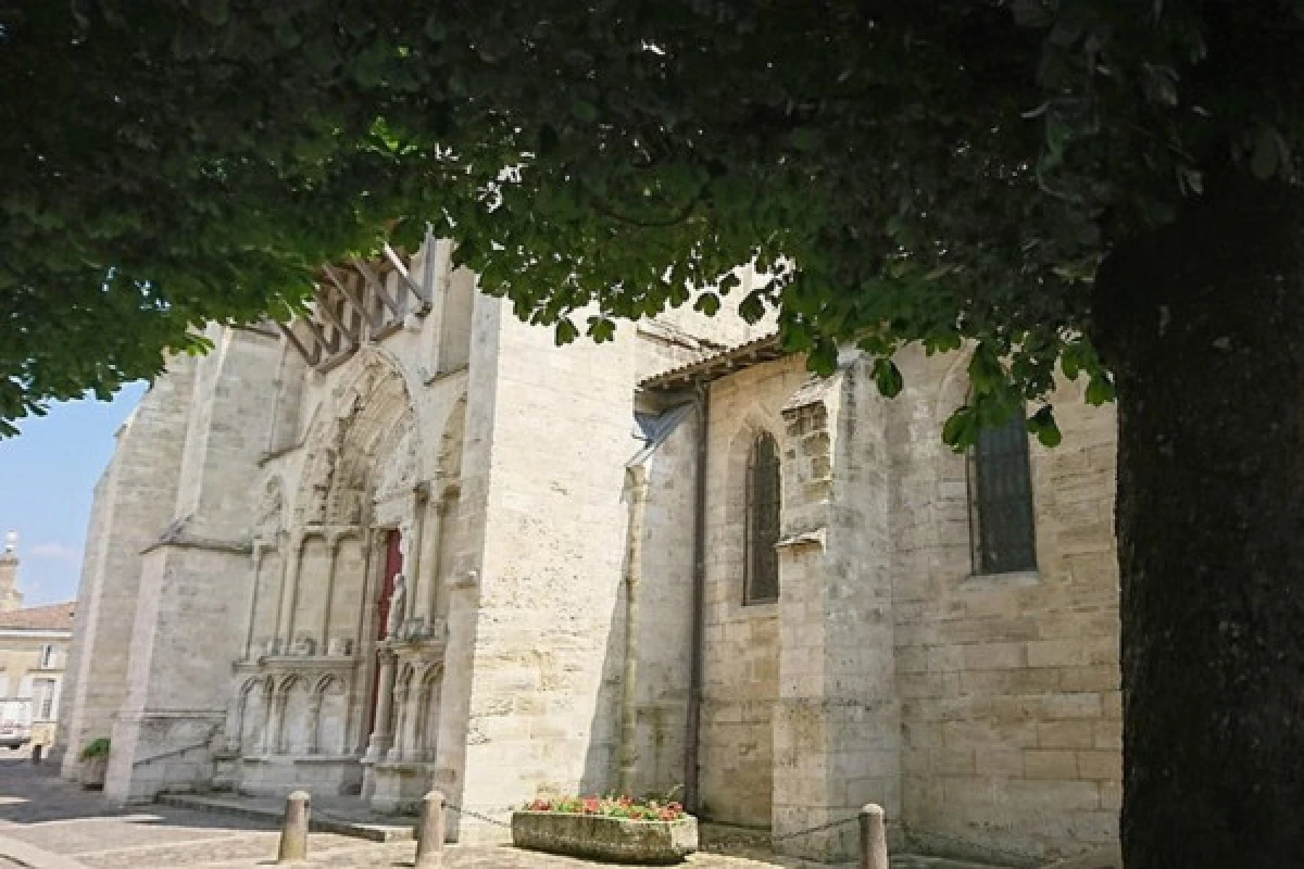 St-Emilion tour in a small group (Luxury Mercedes EQV) - Bonjour Fun