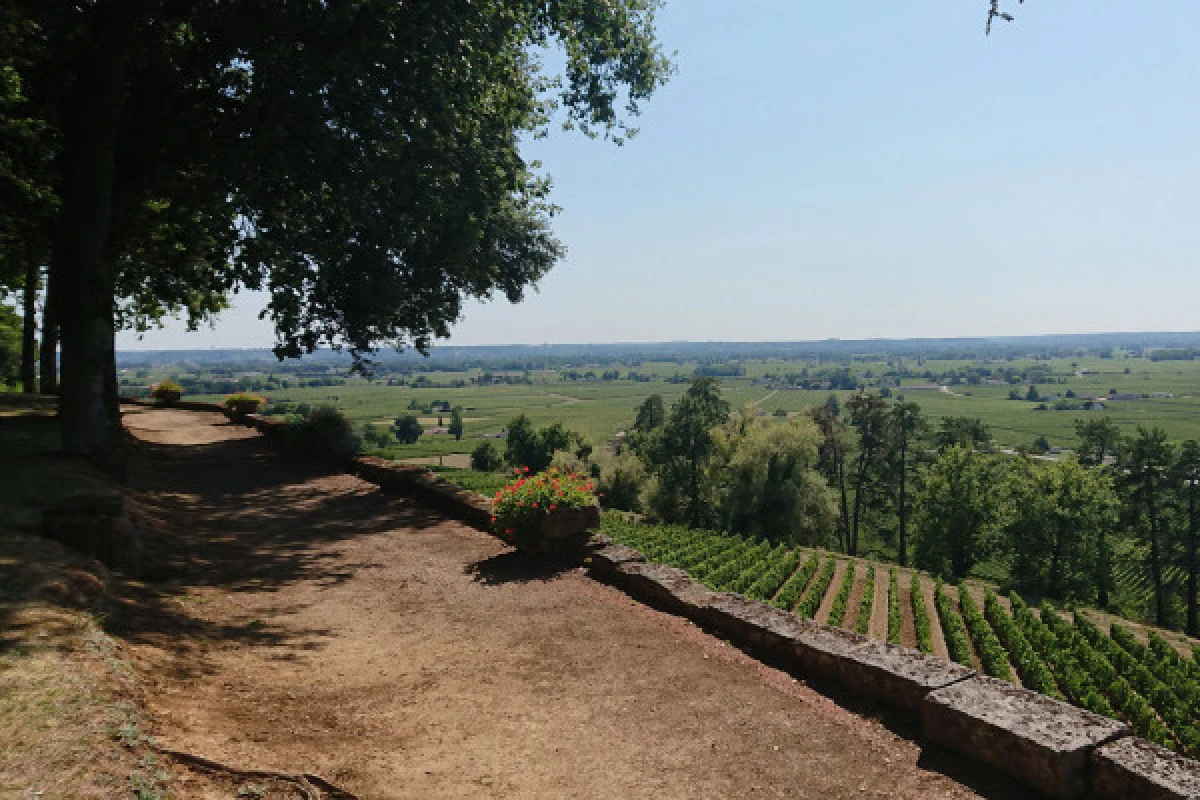 St-Emilion tour in a small group (Luxury Mercedes EQV) - Bonjour Fun