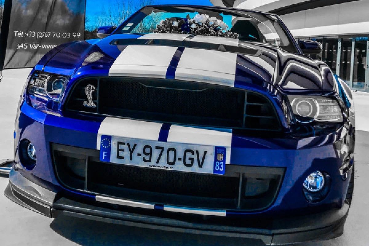 Mustang Shelby GT500 Driving Experience - Bonjour Fun