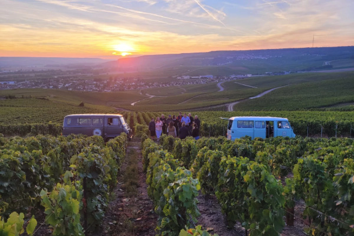 Sunset Champagne Tour from Epernay - Bonjour Fun