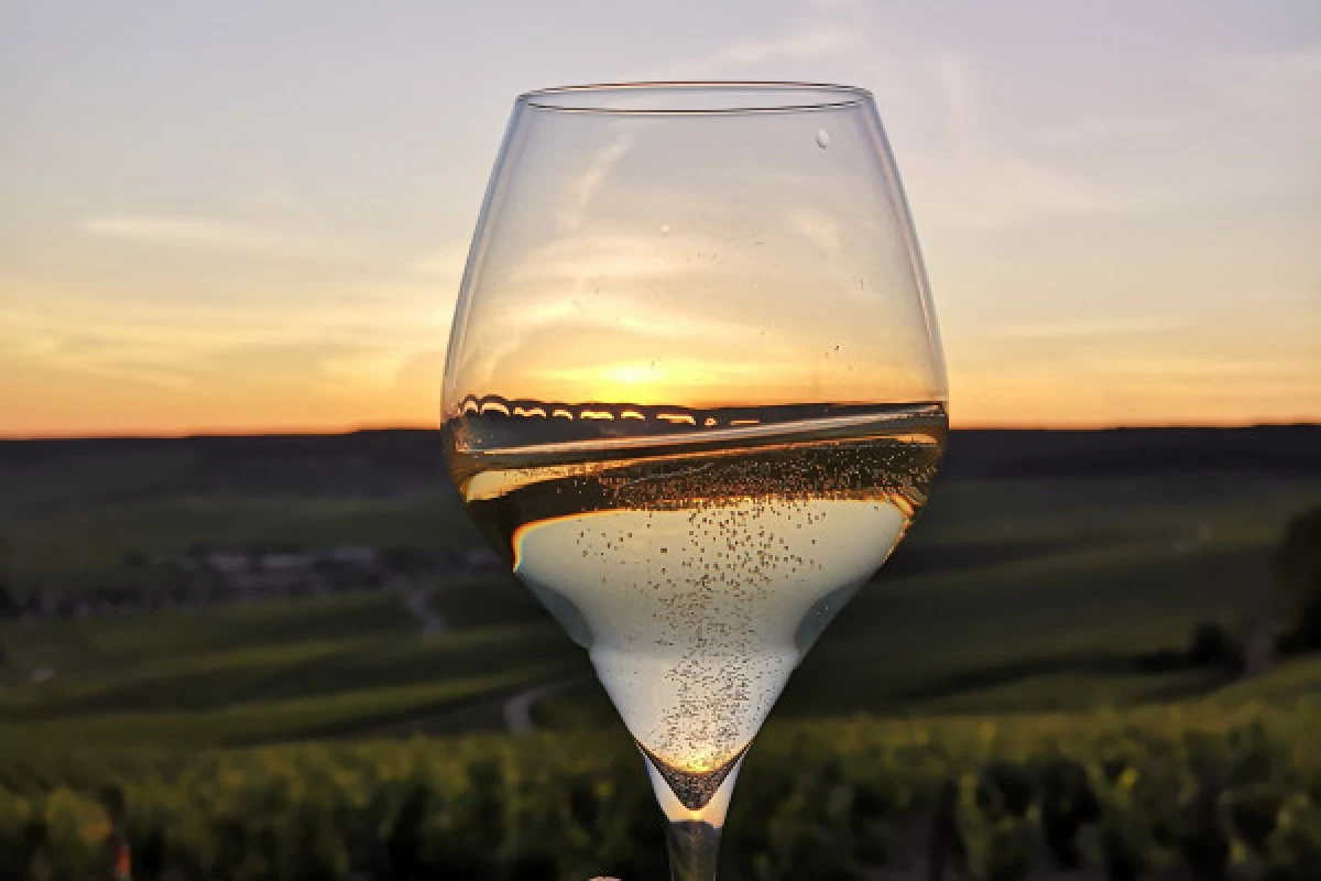 Sunset Champagne Tour from Epernay - Bonjour Fun