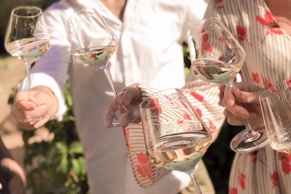 Sunset Wine Tour & Aperitif - Bonjour Fun