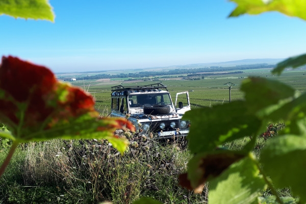 1/2 day  Earth and Sky  CLASSIC in Champagne - Bonjour Fun