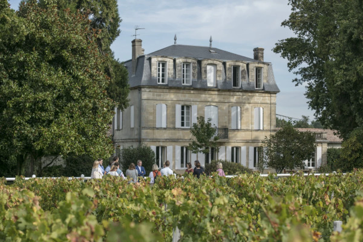 Terroirs Tour 4 wines - Bonjour Fun