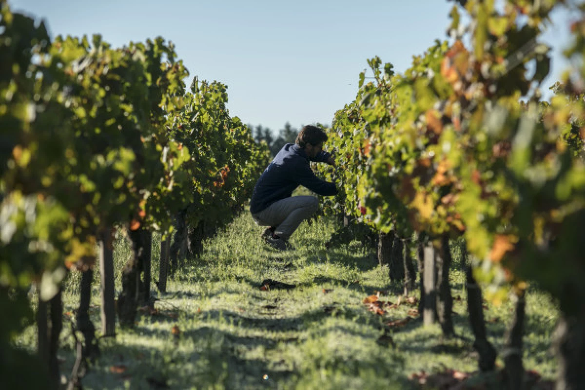 Terroirs Tour 4 wines - Bonjour Fun