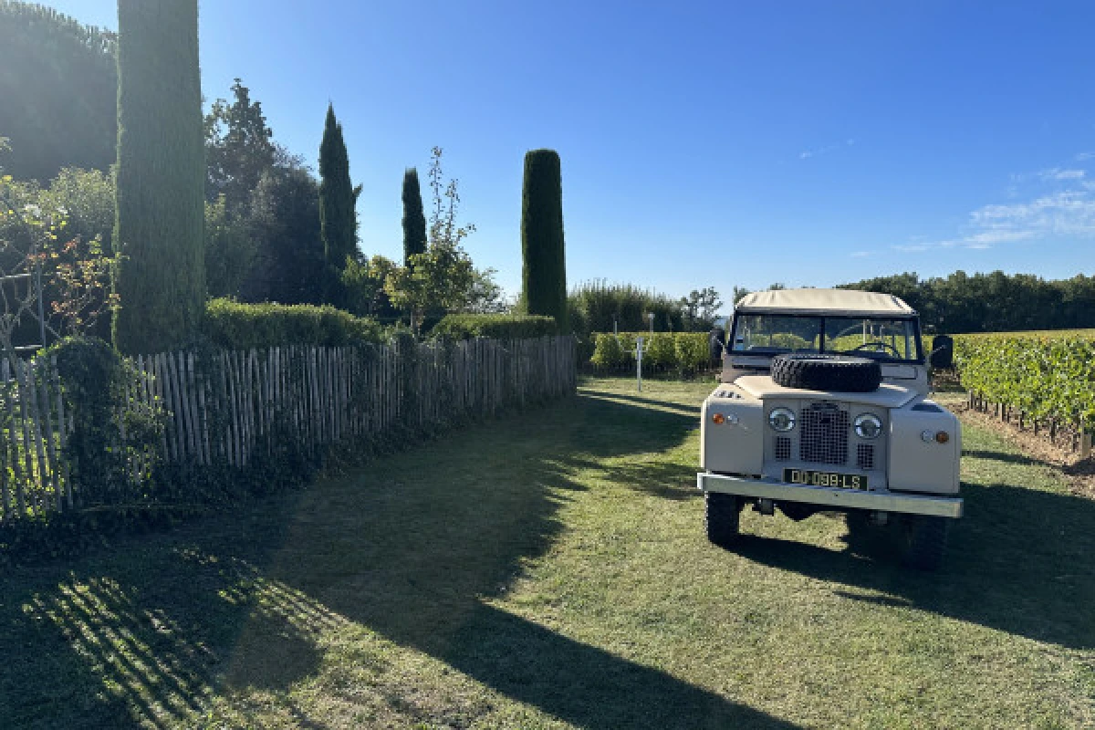 The Chateaux of St-Emilion private tour (Luxury Minivan) - Bonjour Fun