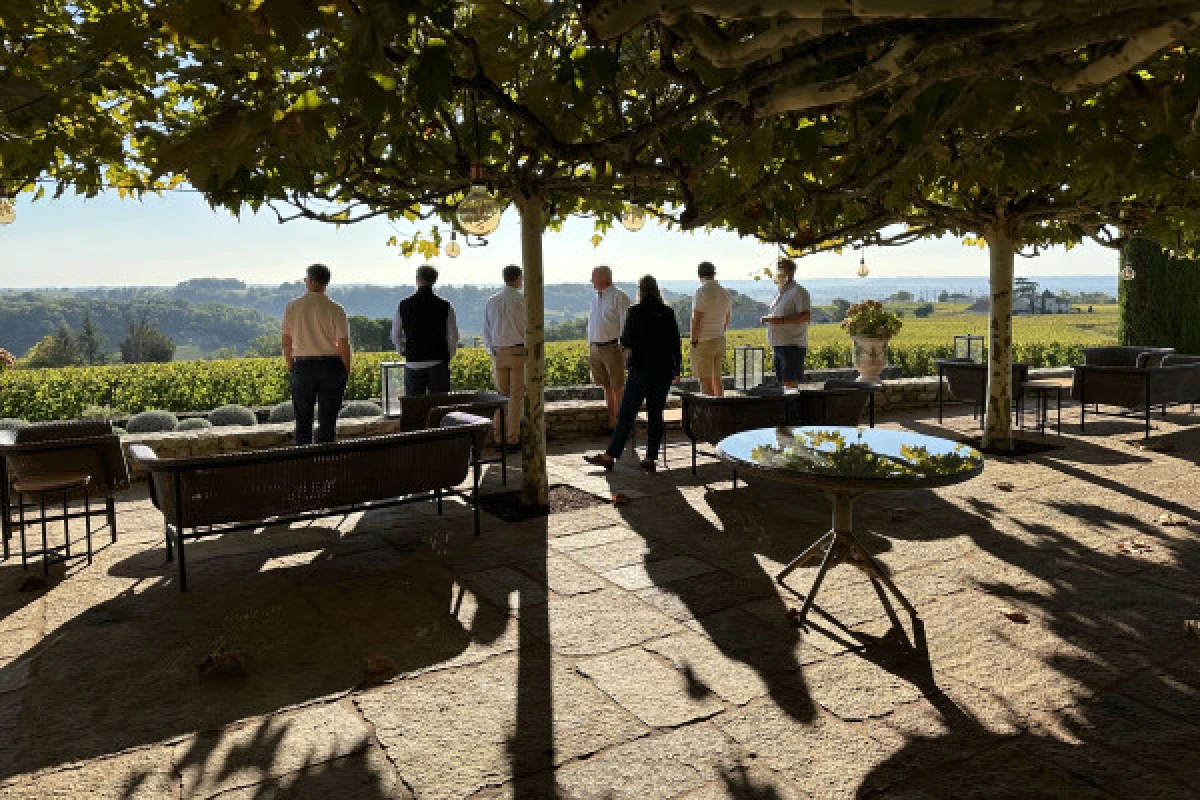 The Chateaux of St-Emilion private tour (Luxury Minivan) - Bonjour Fun