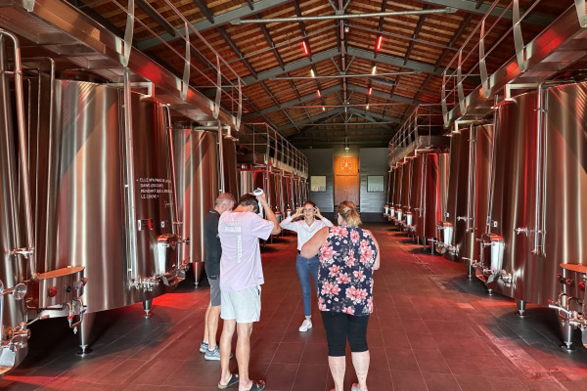 The Chateaux of St-Emilion private tour (Luxury Minivan) - Bonjour Fun
