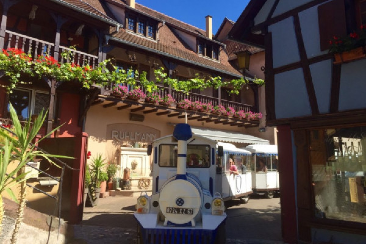 The Little Winegrower's Train - Bonjour Fun