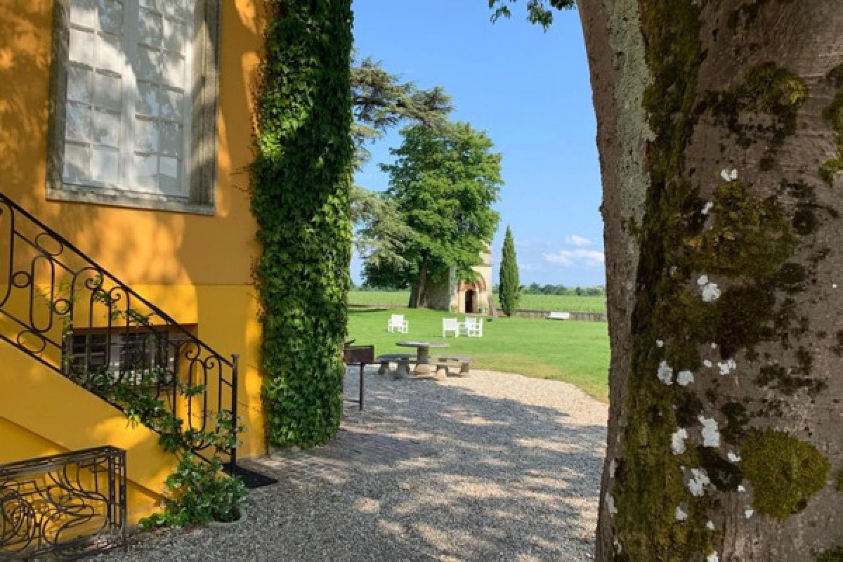 The Medoc Wine Road private day tour - Bonjour Fun