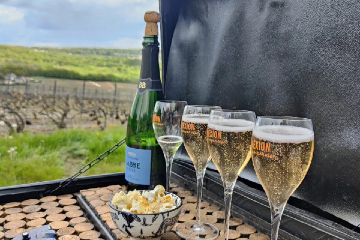 The must-see: Picnic and Champagne tasting - Bonjour Fun