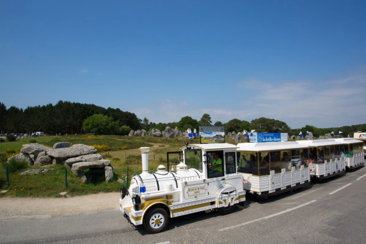 The tour of the menhirs on the little train - Bonjour Fun