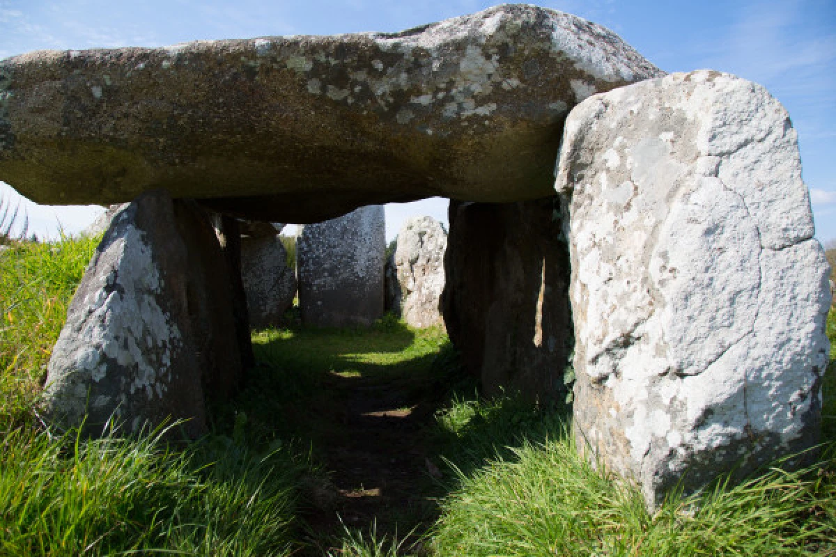 The tour of the menhirs on the little train - Bonjour Fun