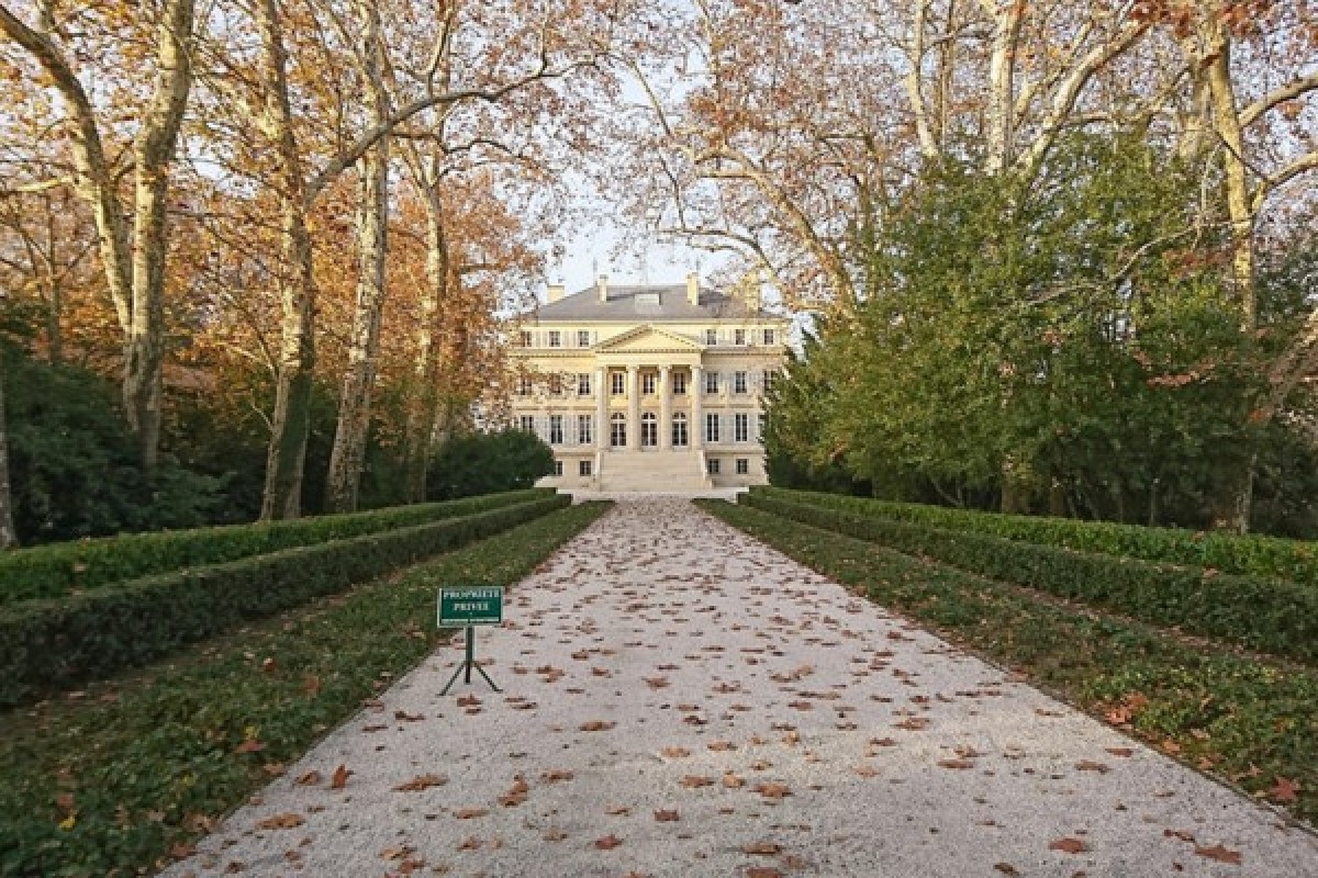 The Ultimate wine tour for 1855 classified chateaux - Bonjour Fun