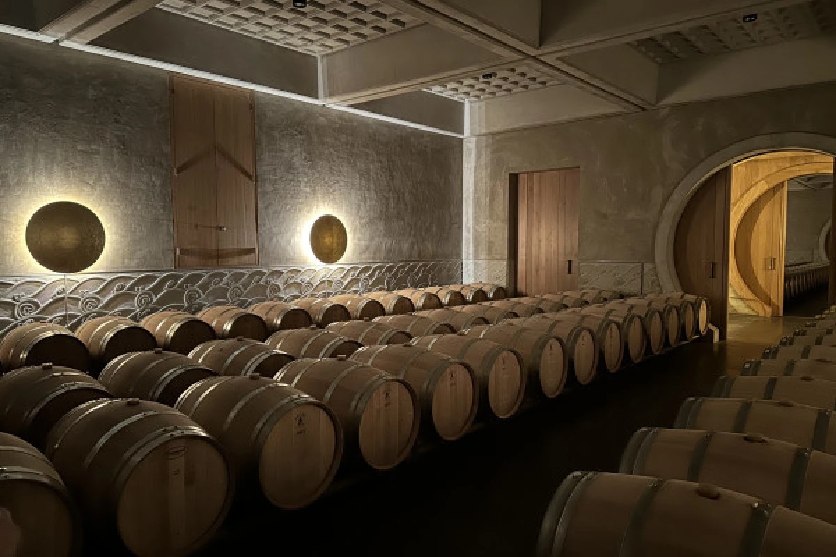 The Ultimate wine tour for 1855 classified chateaux - Bonjour Fun