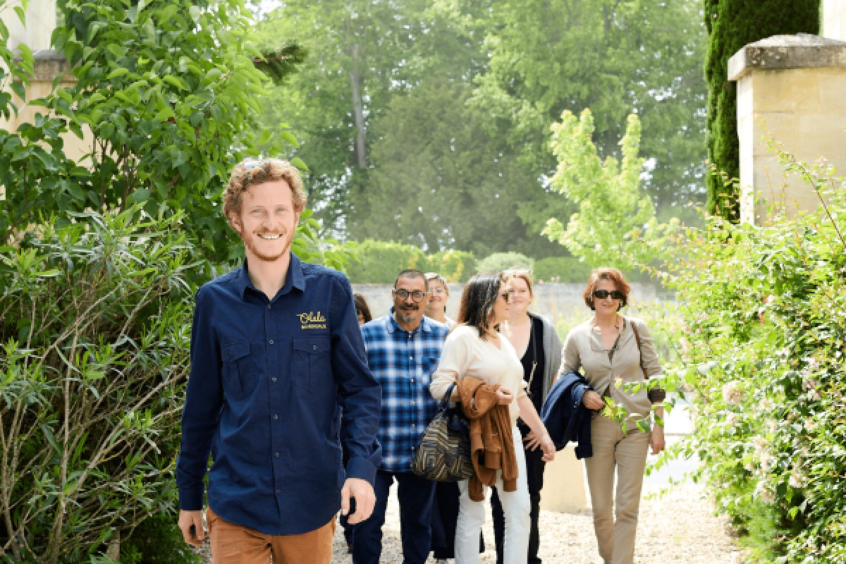 Half day Tour Saint-Emilion: Village, Château & Wine tasting - Bonjour Fun