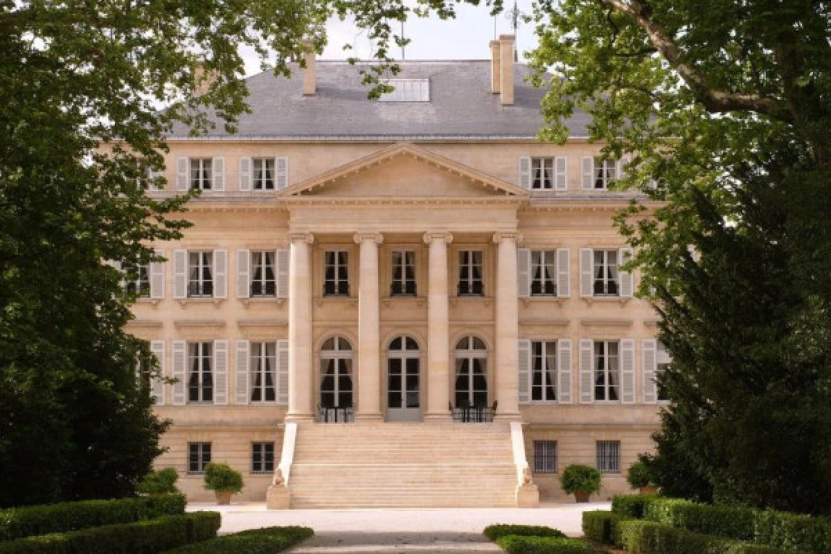 A Half-Day tour in Margaux - Bonjour Fun