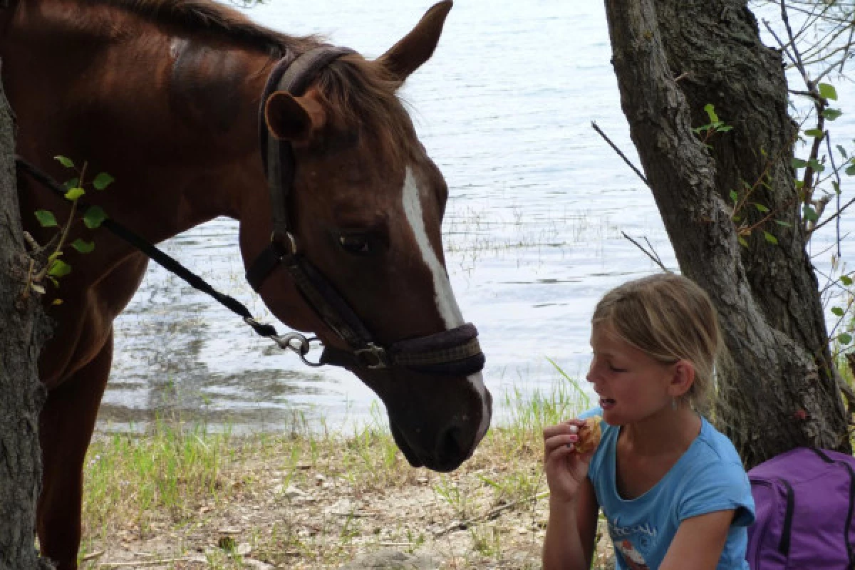 Pony ride  -  Callian - Bonjour Fun