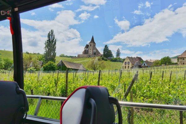 Pearl of the Vineyard day tour from Strasbourg - Bonjour Fun