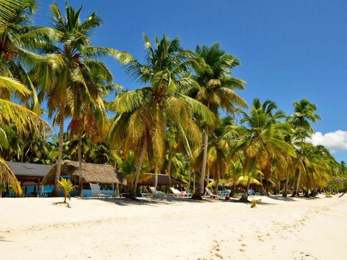 Tour en la Isla Saona - Bonjour Fun