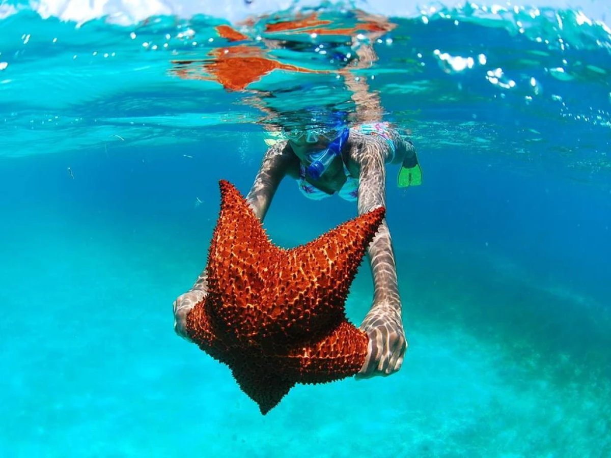 Tour en la Isla Saona - Bonjour Fun