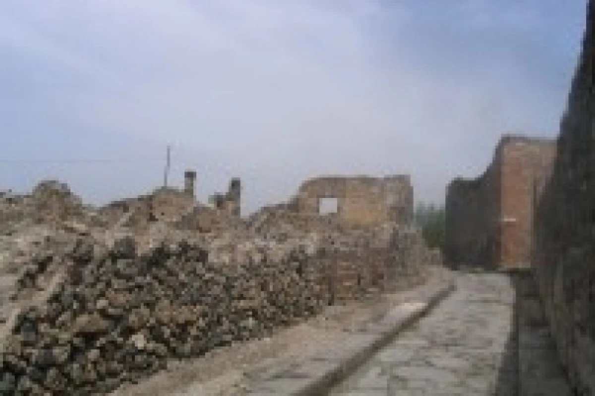 Tour Naples and Pompeii from Naples - Group Tour - Bonjour Fun