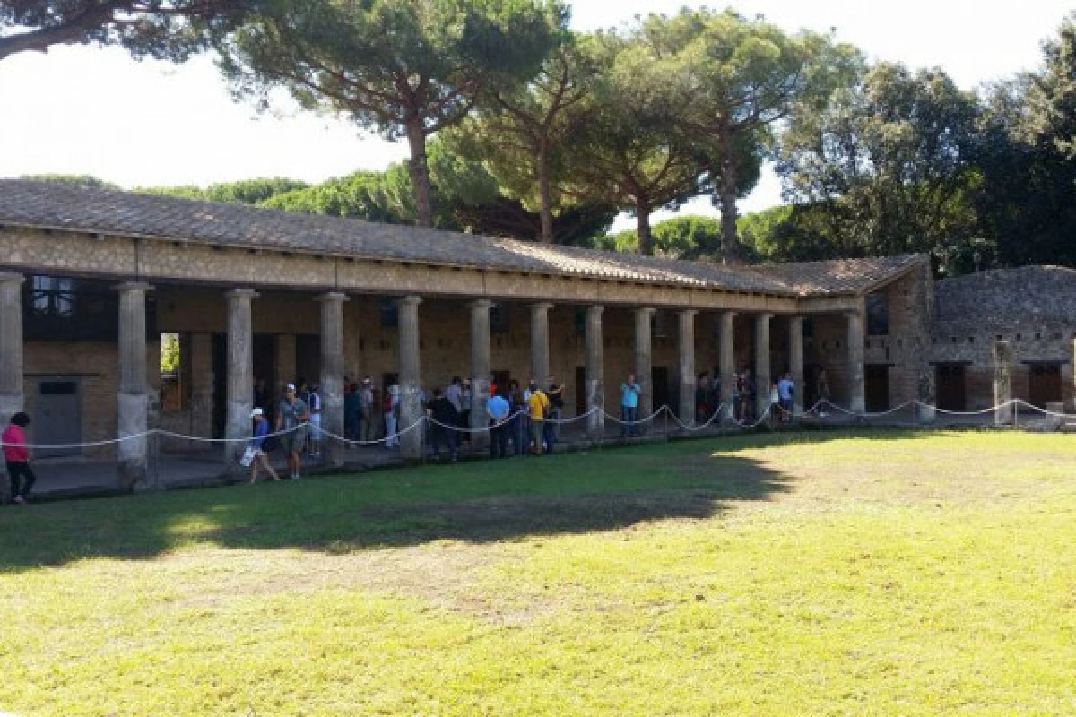 Tour Pompeii from Naples - Group Tour - Bonjour Fun