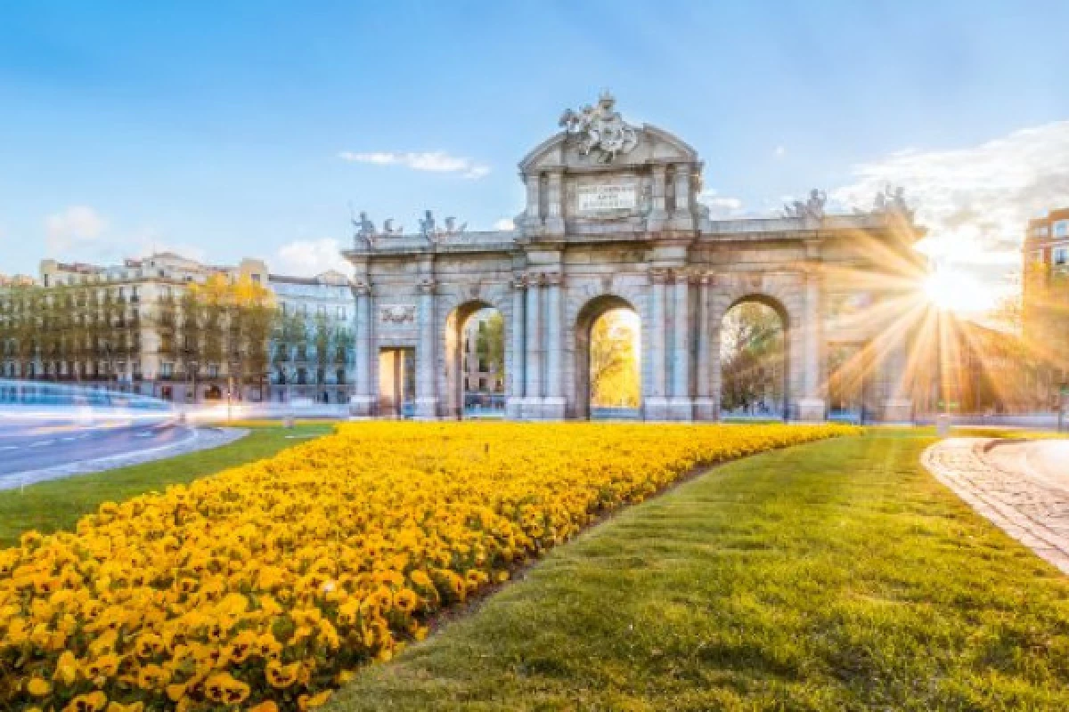 Private Tour with driver in Madrid (4hours) - Bonjour Fun