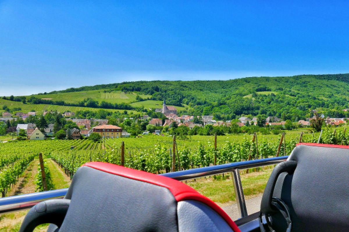 "Coeur d'Alsace" PRIVATE day tour from Strasbourg - Bonjour Fun
