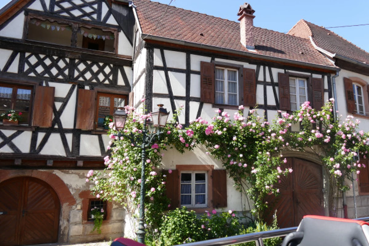 "Coeur d'Alsace" PRIVATE day tour from Strasbourg - Bonjour Fun