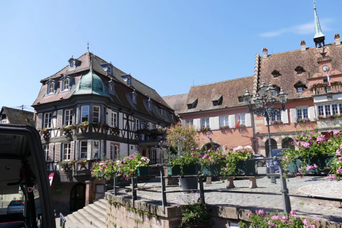 "Coeur d'Alsace" PRIVATE day tour from Strasbourg - Bonjour Fun