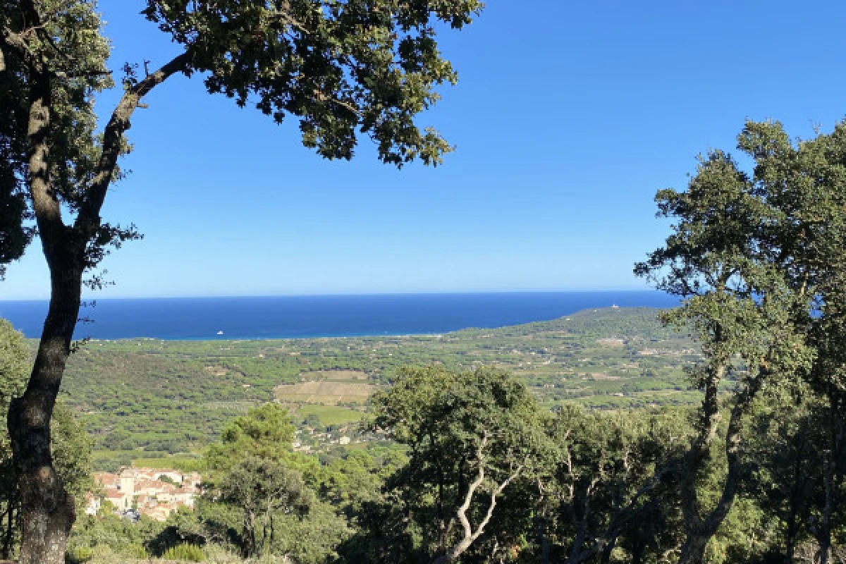 Daytrip Saint Tropez and Ramatuelle in a vintage car - Bonjour Fun