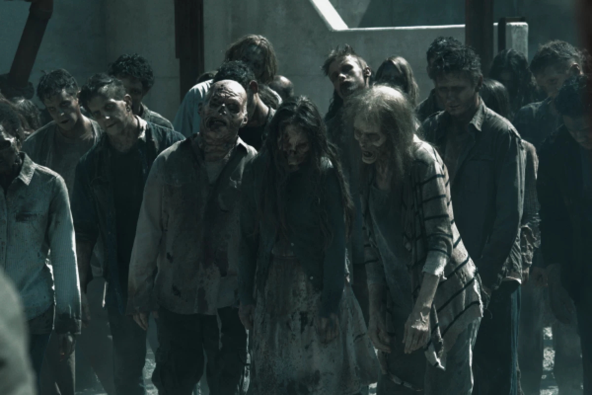 Tours : Escape Game Outdoor The Walking Dead - Bonjour Fun