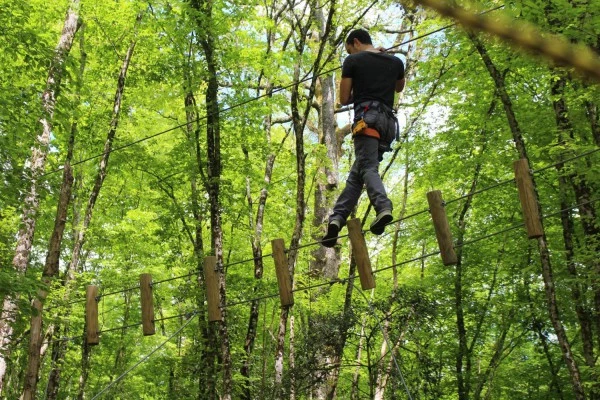 Tree Climbing - Bonjour Fun