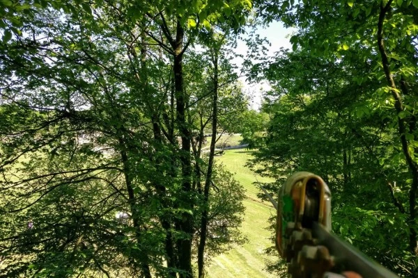 Tree Climbing - Bonjour Fun