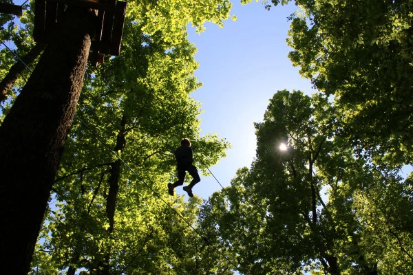 Tree Climbing - Bonjour Fun