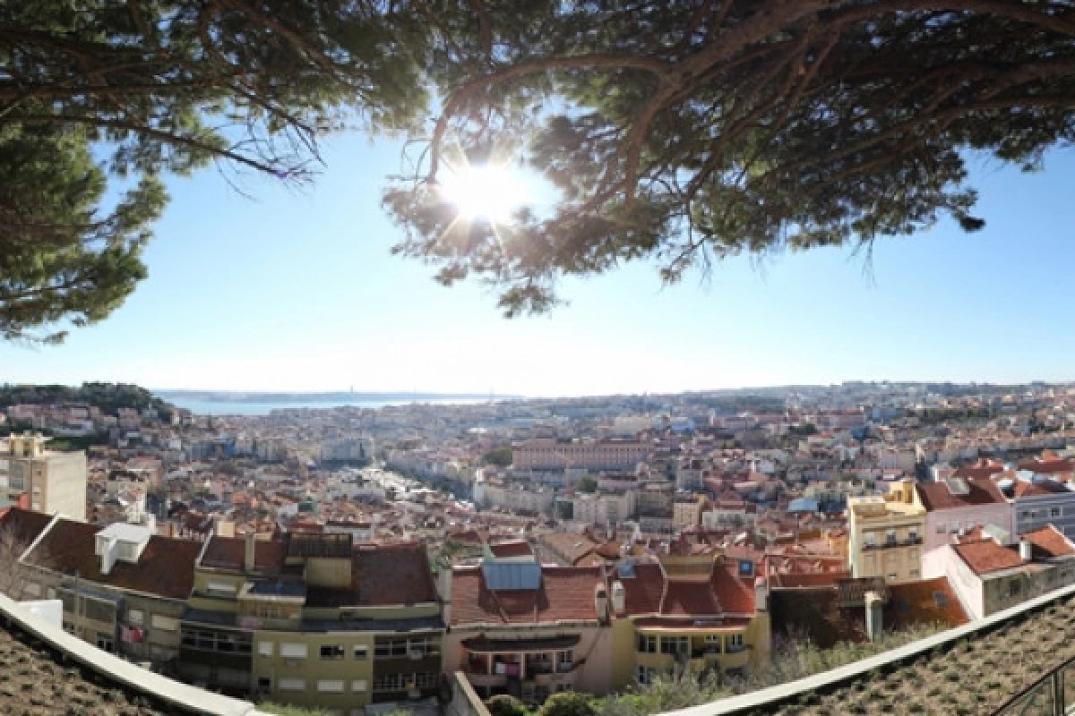 Typical Lisbon - Tuk Tuk Tour - Bonjour Fun