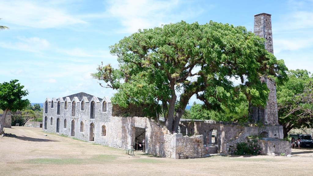 A legendary rum from a land of legends - Bonjour Fun