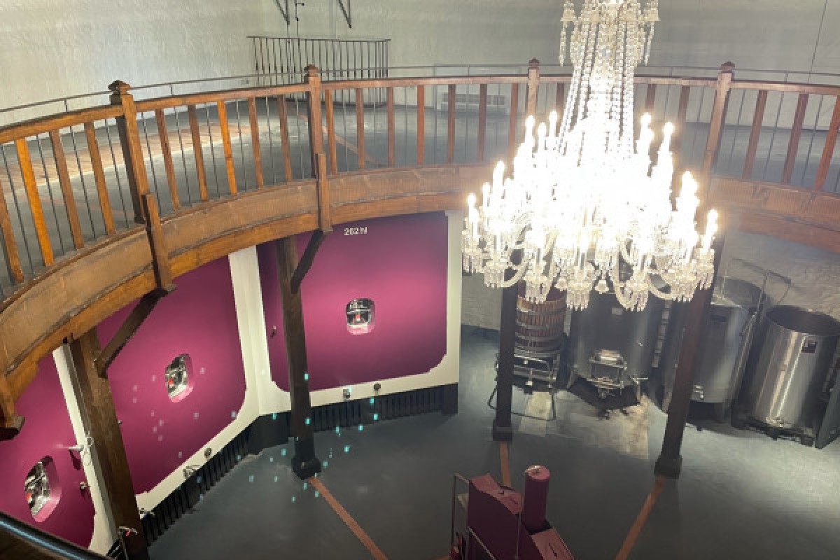 Private day tour in St-Emilion (Premium Minivan / sedan) - Bonjour Fun